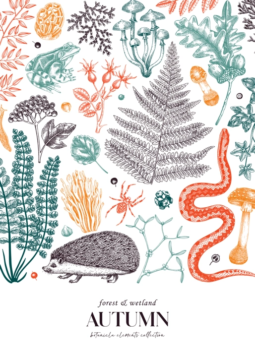 Autumn forest background in color. Hand drawn fallen leaves, ferns, autumn plants, mushrooms, woodland animals sketches. Botanical design template of card, invitation, cover